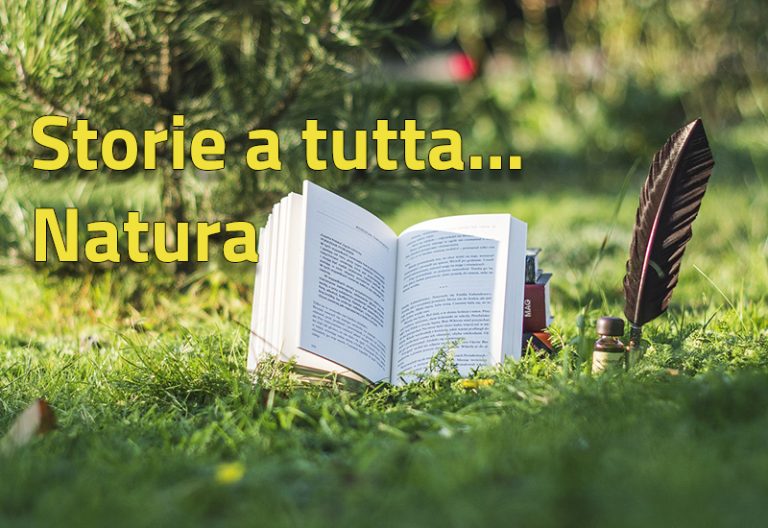 Scopri di più sull'articolo Storie a tutta… natura – TRES | 22 agosto ore 16.00