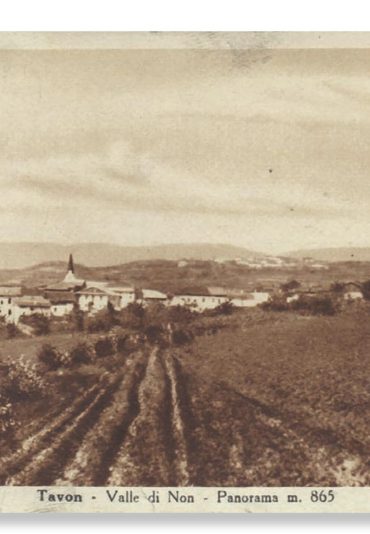 TAVON_cartolina